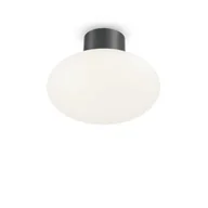 Lampy sufitowe - Ideal Lux Podstawa plafonu CLIO MPL1 IP44 antracyt 148861 148861/IL - miniaturka - grafika 1