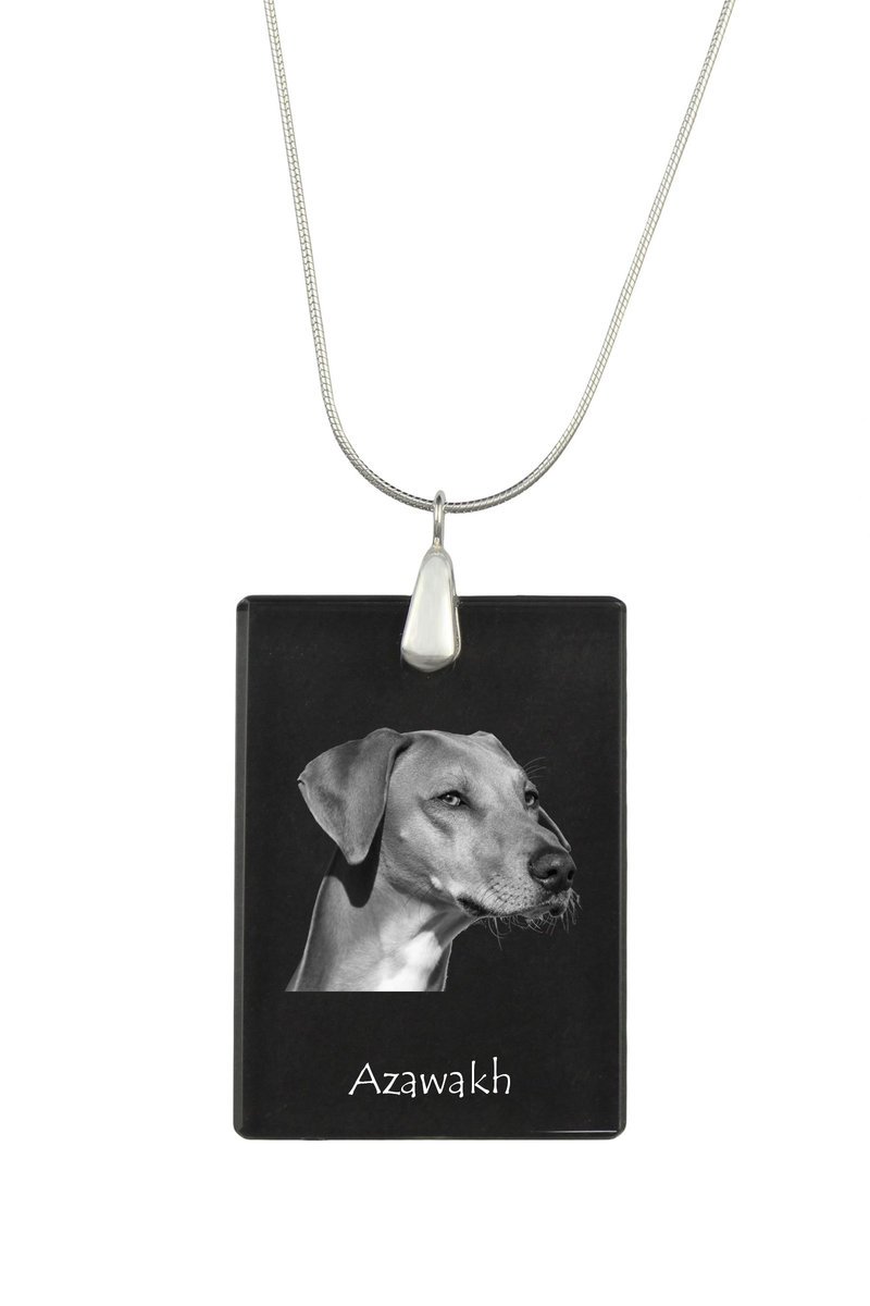 Chart afrykański, Azawakh - kryształowa zawieszka z psem, srebrny naszyjnik ze zdjęciem, personalizowany wisiorek marki Art-Dog