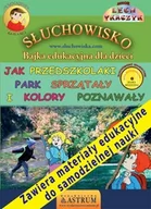 Audiobooki dla dzieci i młodzieży - Jak przedszkolaki park sprzątały i kolory poznawały - miniaturka - grafika 1