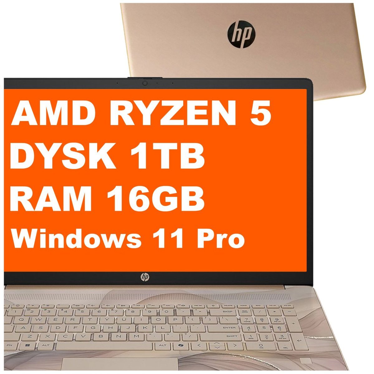HP 17-cp2039ds / C2MK3UA / Ryzen 5 / 16GB / 1TB / AMD Radeon / 17,3