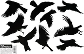 Zwalczanie i odstraszanie szkodników - NAKLEJKI DO ODSTRASZANIA PTAKÓW MAŁE 9szt. /10 ARKUSZY SCARE - miniaturka - grafika 1