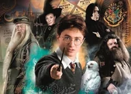 Puzzle - Puzzle 500 Compact Harry Potter - miniaturka - grafika 1