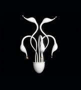 Lampy ścienne - Lumina Deco Kinkiet MAGICA WHITE W5 LDW 6028-5 WT - miniaturka - grafika 1