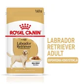 Mokra karma dla psów - ROYAL CANIN Labrador Retriever Adult 10x140 g - miniaturka - grafika 1