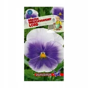 Nasiona i cebule - Bratek wielkokwiatowy Lord Beaconsfield nasiona 0,3g / O / - miniaturka - grafika 1