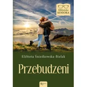 Literatura obyczajowa - Biblioteka Seniora Przebudzeni - miniaturka - grafika 1