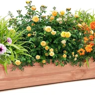 Donice - Podwyższona Skrzynka Ogrodowa z Drewna o Solidnej Konstrukcji do Uprawy Warzyw, Kwiatów, Skrzynka na Kwiaty na Taras/Ogród, 90 x 18 x 15 cm - miniaturka - grafika 1