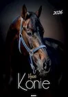 Kalendarze - Kalendarz 2026 ścienny Konie - miniaturka - grafika 1
