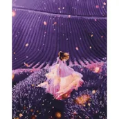 Malowanie po numerach - Twoje Hobby Malowanie po numerach Światło w lawendowym polu - miniaturka - grafika 1