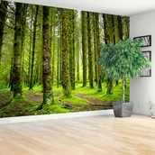 Fototapety - Fototapeta Drzewa - miniaturka - grafika 1