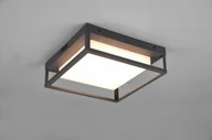 Lampy ogrodowe - Trio WITHAM 677860142 677860142 - miniaturka - grafika 1