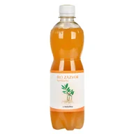 Soki i napoje niegazowane - STEVIKOM - Kombucha imbirowa z melisą BIO, 500ml - miniaturka - grafika 1
