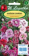 Nasiona i cebule - W. legutko sp. z o.o Nasiona Goździk chiński mieszanka, 1g - miniaturka - grafika 1