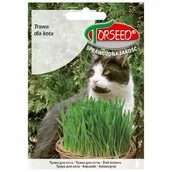 Nasiona i cebule - Nasiona Trawa dla kota 30g - Torseed - miniaturka - grafika 1
