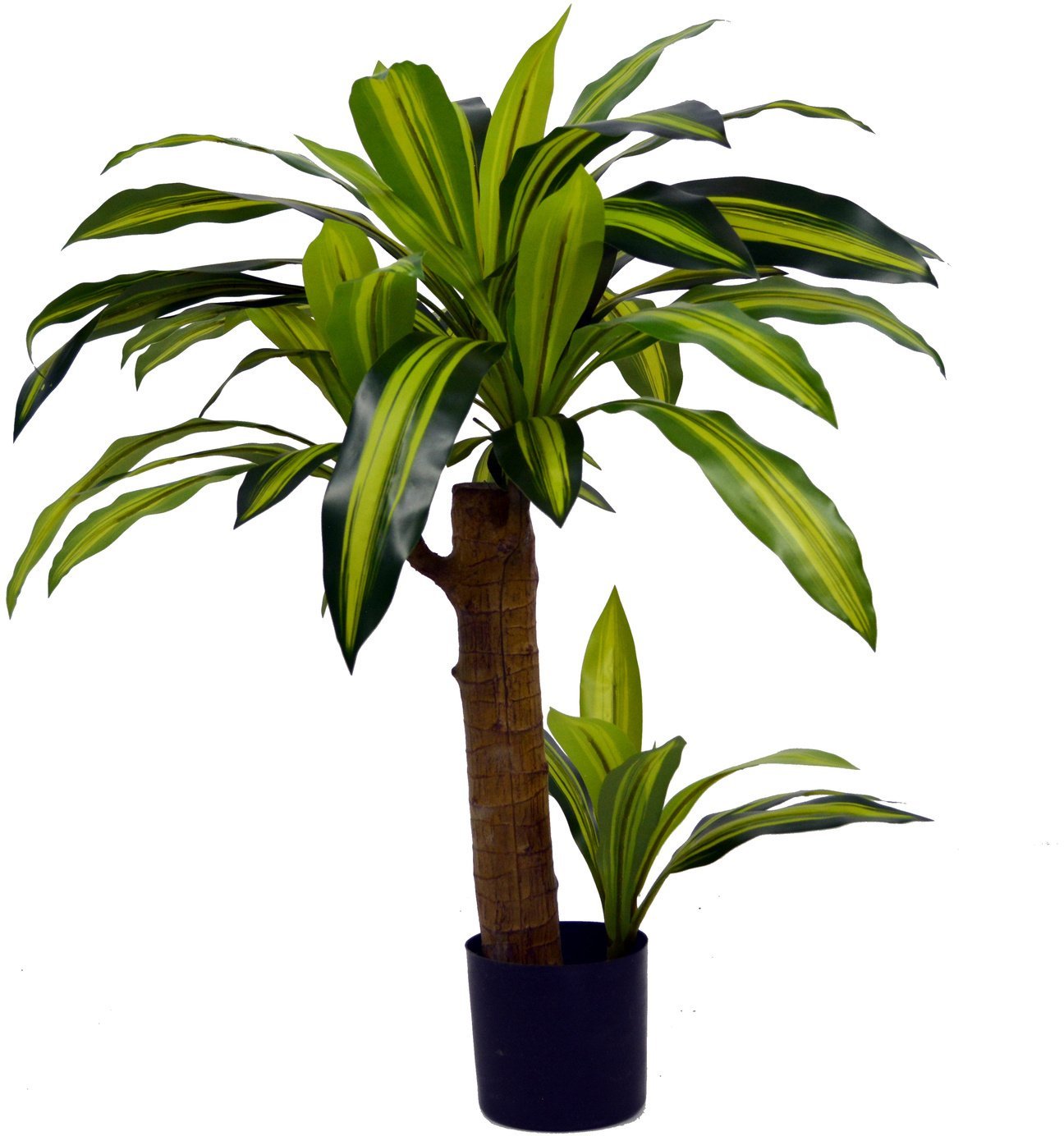 Direct Home and Garden Dracena sztuczna 80 cm