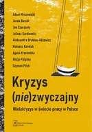 Podręczniki dla szkół wyższych - Kryzys (nie)zwyczajny. Wielokryzys w świecie pracy w Polsce - Adam Mrozowicki, Jacek Burski, Jan Czarzasty, Juliusz Gardawski, Aleksandra Drabina-Różewicz, Mateus - książka - miniaturka - grafika 1