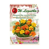 Nasiona i cebule - Legutko Aksamitka rozpierzchła BONANZA SERIES - miniaturka - grafika 1