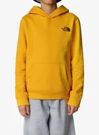 Bluzy sportowe męskie - Bluza dziecięca The North Face Redbox Regular P/O Hoodie - summit gold - miniaturka - grafika 1