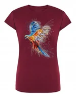 Koszulki i topy damskie - T-Shirt damski nadruk Kolorowa PAPUGA r. L - miniaturka - grafika 1