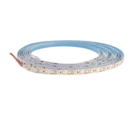 Taśmy LED - LED Taśma DAISY 5m chłodna biel - miniaturka - grafika 1