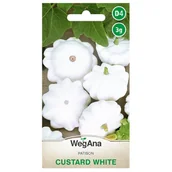 Nasiona i cebule - Dynia zwyczajna patison Custard White nasiona 3g - WegAna - miniaturka - grafika 1