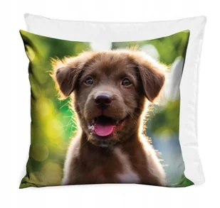 PODUSZKA DO PRZEDSZKOLA JASIEK 40x40 dziecka PIES PIESEK LABRADOR PATROL - Poduszki dekoracyjne - miniaturka - grafika 1