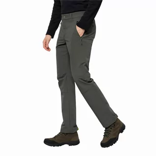Spodnie sportowe męskie - Męskie spodnie softshellowe Jack Wolfskin ACTIVATE XT PANTS M slate - 50L - grafika 1