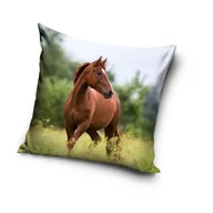 Poszewki na poduszki - CX Poszewka Koń Mustang PNL201057 40x40 cm 14700 - miniaturka - grafika 1