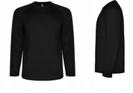 Koszulki męskie - Koszulka Sportowa Męska Długi Rękaw CONTROL DRY ROLY 0415 CZARNA L - miniaturka - grafika 1