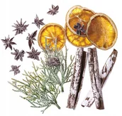 Zabawki kreatywne - Naturalne Elementy Cynamon Anyż Pomarańcza Dpcraft - miniaturka - grafika 1