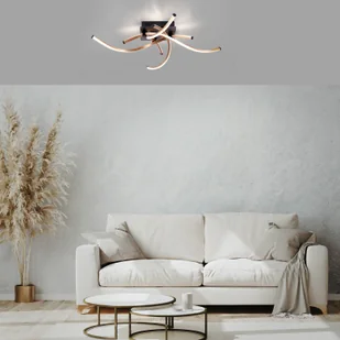 Paul Neuhaus Lampa sufitowa LED Polina, 4-punktowa, złota, ściemniana - Lampy sufitowe - miniaturka - grafika 1