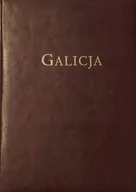 Albumy krajoznawcze - Galicja Album Widoków Galizien Aussichten- Album - miniaturka - grafika 1