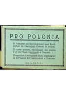 Książki o kulturze i sztuce - Pro Polonia 25 reprodukcji według dzieł sztuki - miniaturka - grafika 1