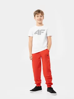 Odzież sportowa dziecięca - Spodnie dresowe joggery chłopięce - 4F - grafika 1
