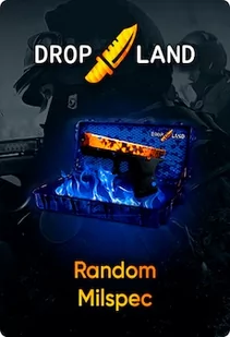 Counter-Strike: Global Offensive RANDOM MIL-SPEC SKIN BY DROPLAND.NET Key GLOBAL - Gry PC Cyfrowe - miniaturka - grafika 1