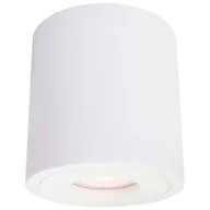 Oświetlenie warsztatowe - Light Prestige Faro XL oprawa natynkowa biała z IP44 LP-6510/1SM XL WH - miniaturka - grafika 1