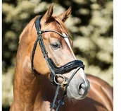 Ogłowia - Kavalkade Ogłowie anatomiczne IVELLA - miniaturka - grafika 1