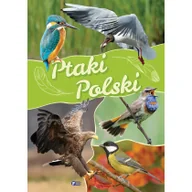 Literatura popularno naukowa dla młodzieży - Ptaki Polski Praca zbiorowa - miniaturka - grafika 1
