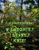 E-booki - literatura polska - W ludzkiej i leśnej kniei - miniaturka - grafika 1