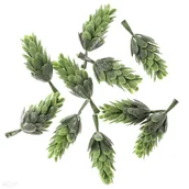 Zabawki kreatywne - Mini karczochy 10 szt. - miniaturka - grafika 1