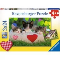 Puzzle - Ravensburger Puzzle 2x 24 elementy Zaspane kotki 07801 - miniaturka - grafika 1