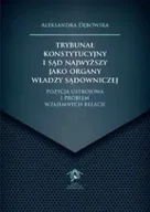 Technika - Trybunał Konstytucyjny i Sąd Najwyższy jako organy władzy sądowniczej - Aleksandra Dębowska - miniaturka - grafika 1