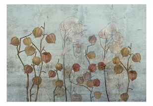 Fototapeta - Malowana lunaria (rozmiar 100x70) - Fototapety Fototapeta - Malowana lunaria (rozmiar 100x70) - Fototapety - miniaturka - grafika 1