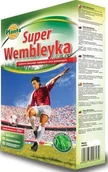 Nasiona i cebule - Nasiona traw WEMBLEYKA Planta 0,2kg - miniaturka - grafika 1