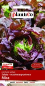 Nasiona i cebule - Plantico Sałata głowiasta Masłowa czerwona Mira 1g - miniaturka - grafika 1