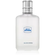 Wody i perfumy męskie - Chevignon Best of Chevignon Woda toaletowa 100ml - miniaturka - grafika 1