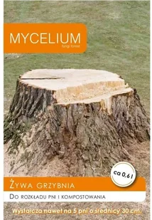 Grzybnia do rozkładu pni - Nasiona i cebule - miniaturka - grafika 1