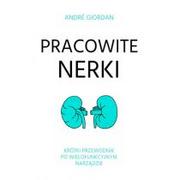 Książki medyczne - Pracowite nerki. Krótki przewodnik po wielofunkcyjnym narządzie - miniaturka - grafika 1