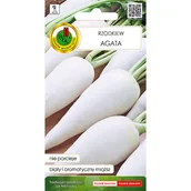 Nasiona i cebule - Rzodkiewka Agata nasiona tradycyjne Pnos - miniaturka - grafika 1