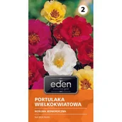 Nasiona i cebule - Portulaka wielkokwiatowa mix 0,5 g Eden - miniaturka - grafika 1
